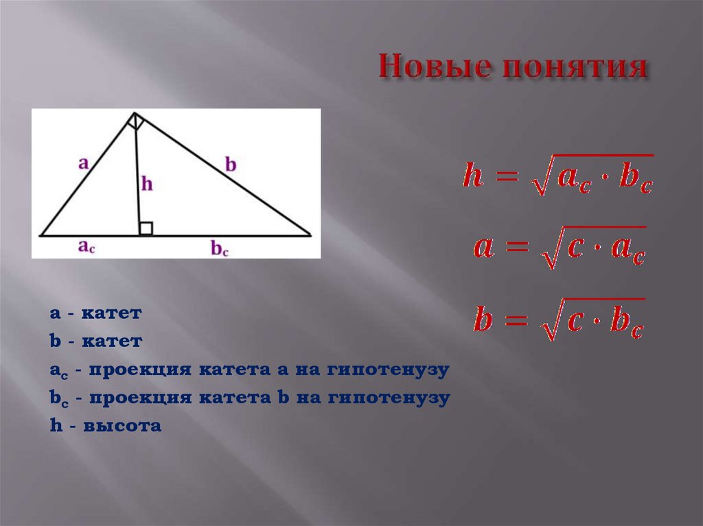 Новые понятия