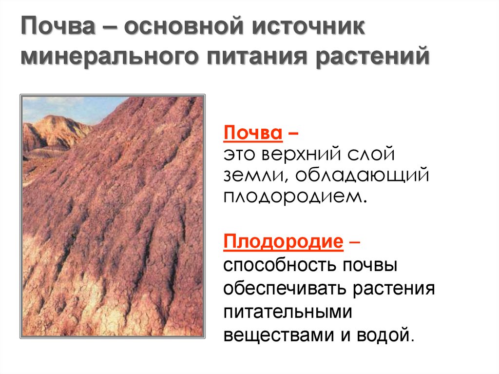 Почва – это верхний слой земли, обладающий плодородием.