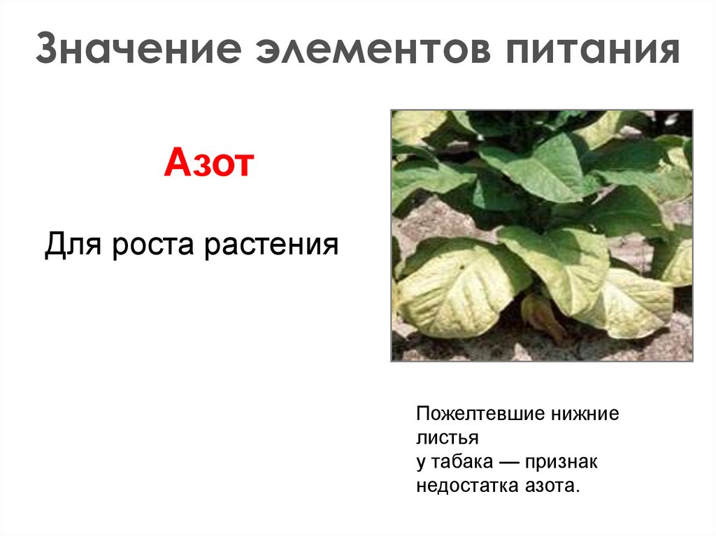 Значение элементов питания