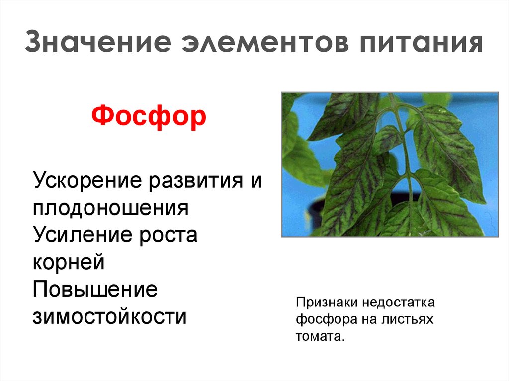 Значение элементов питания