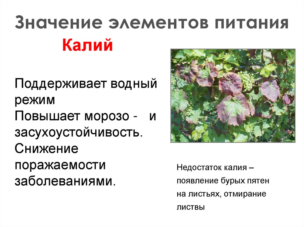 Значение элементов питания