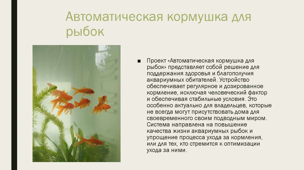 Автоматическая кормушка для рыбок