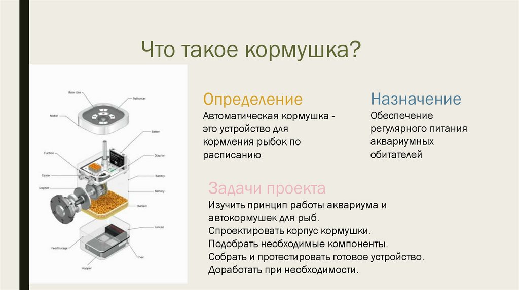 Что такое кормушка?