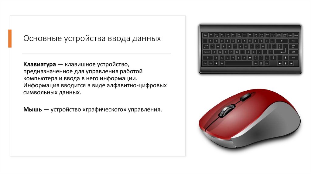 Основные устройства ввода данных