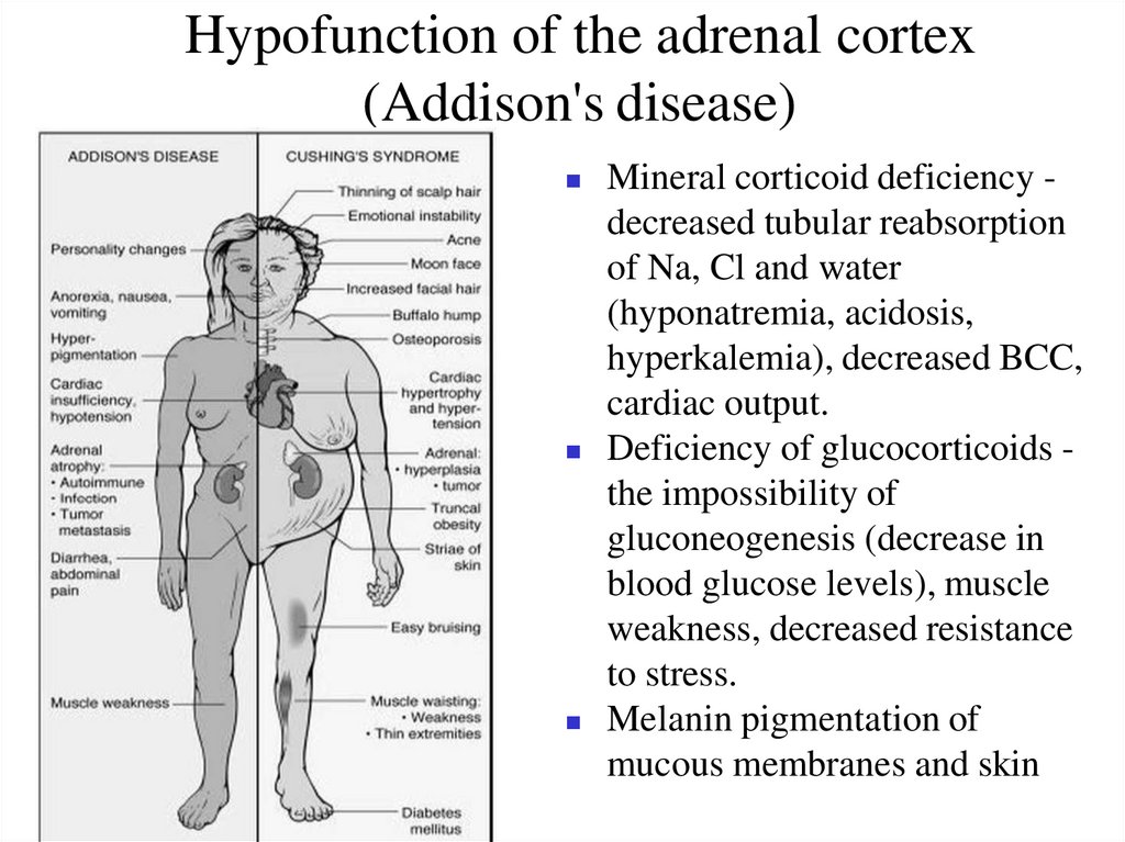 Hypofunction of the adrenal cortex (Addison's disease)
