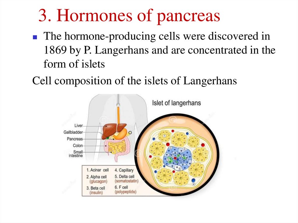 3. Hormones of pancreas