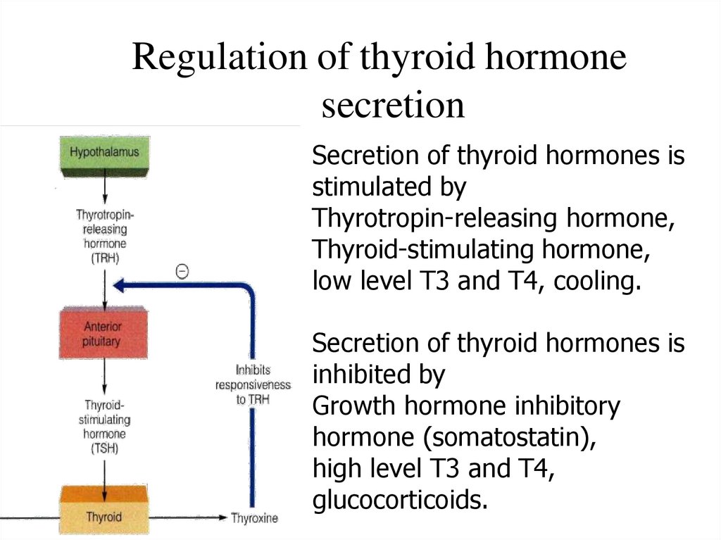 Regulation of thyroid hormone secretion