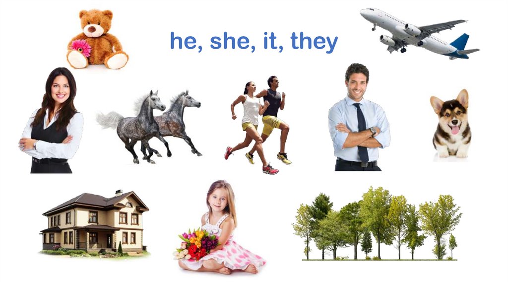 he, she, it, they
