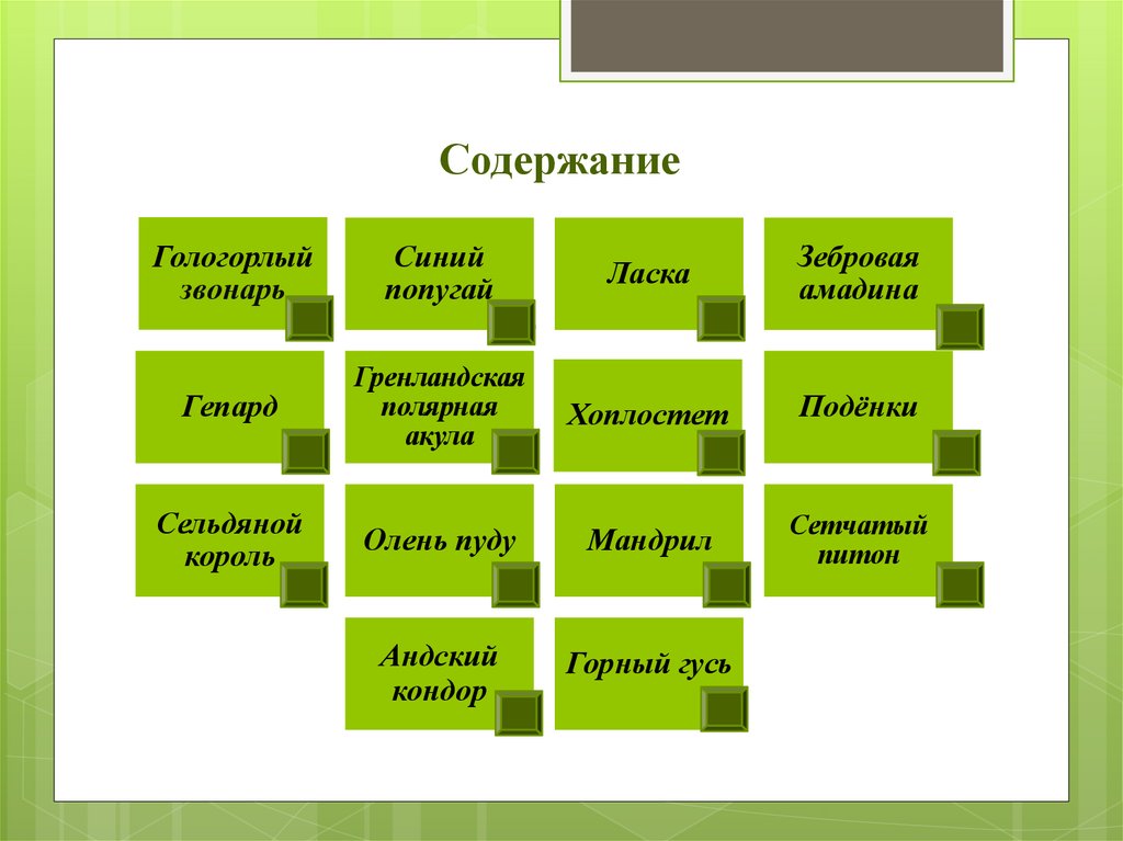 Содержание