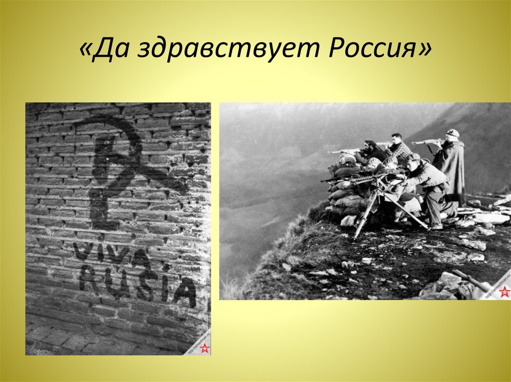 «Да здравствует Россия»