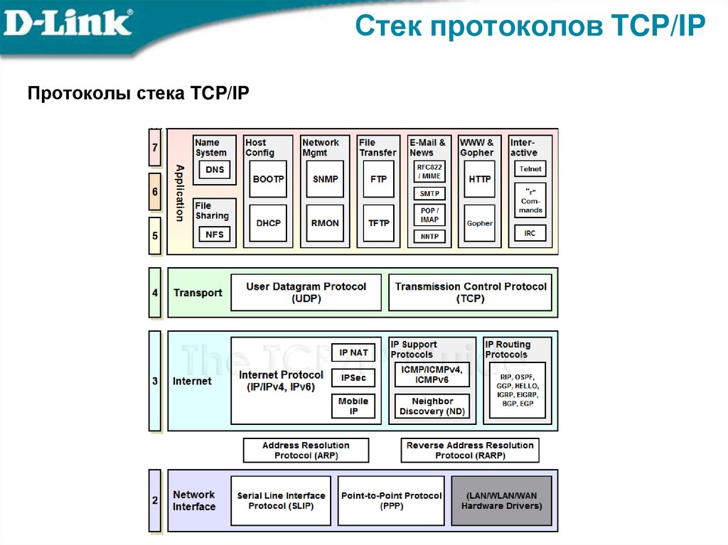 Стек протоколов TCP/IP