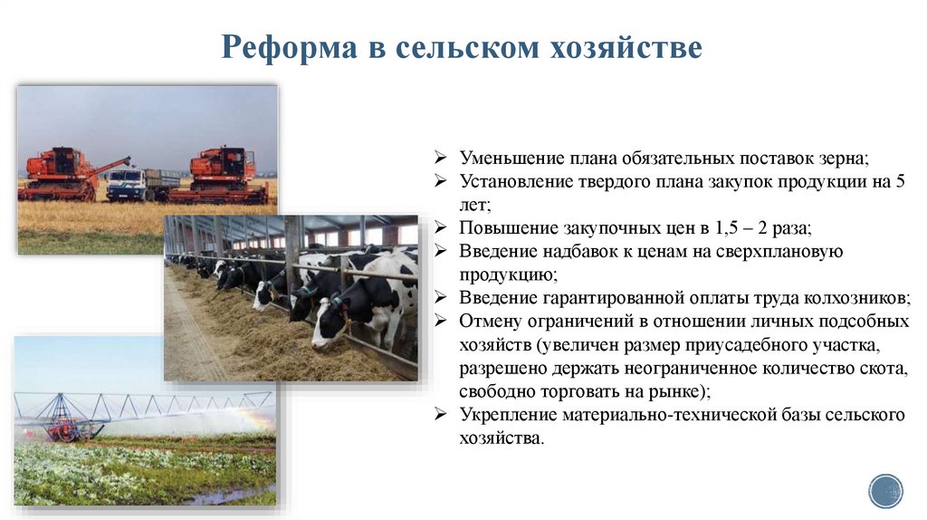 Реформа в сельском хозяйстве