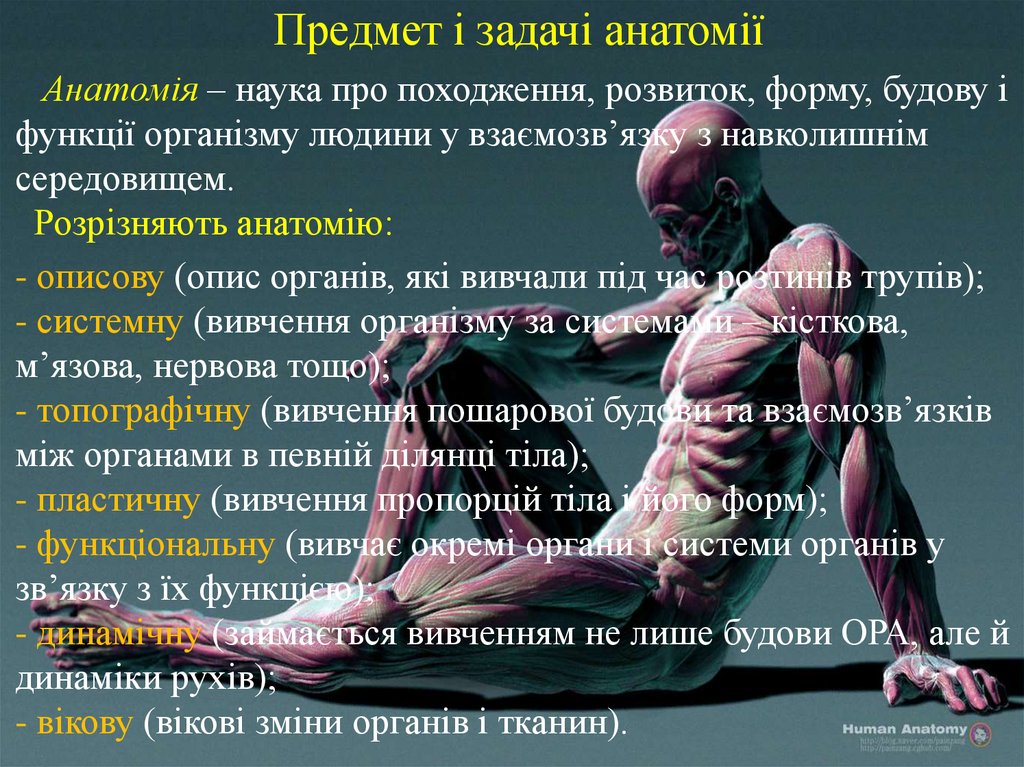 Предмет і задачі анатомії