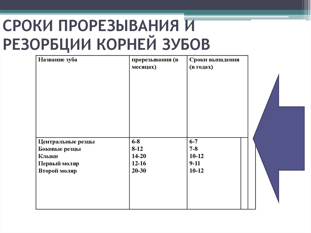 СРОКИ ПРОРЕЗЫВАНИЯ И РЕЗОРБЦИИ КОРНЕЙ ЗУБОВ