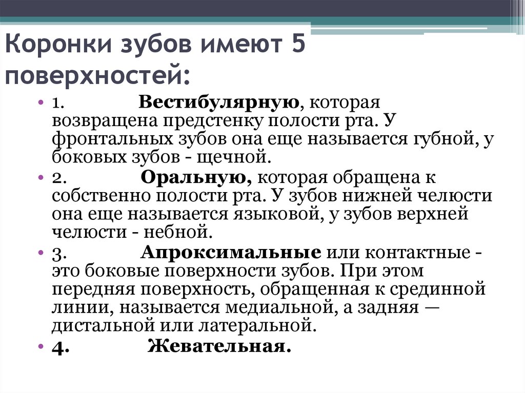 Коронки зубов имеют 5 поверхностей: