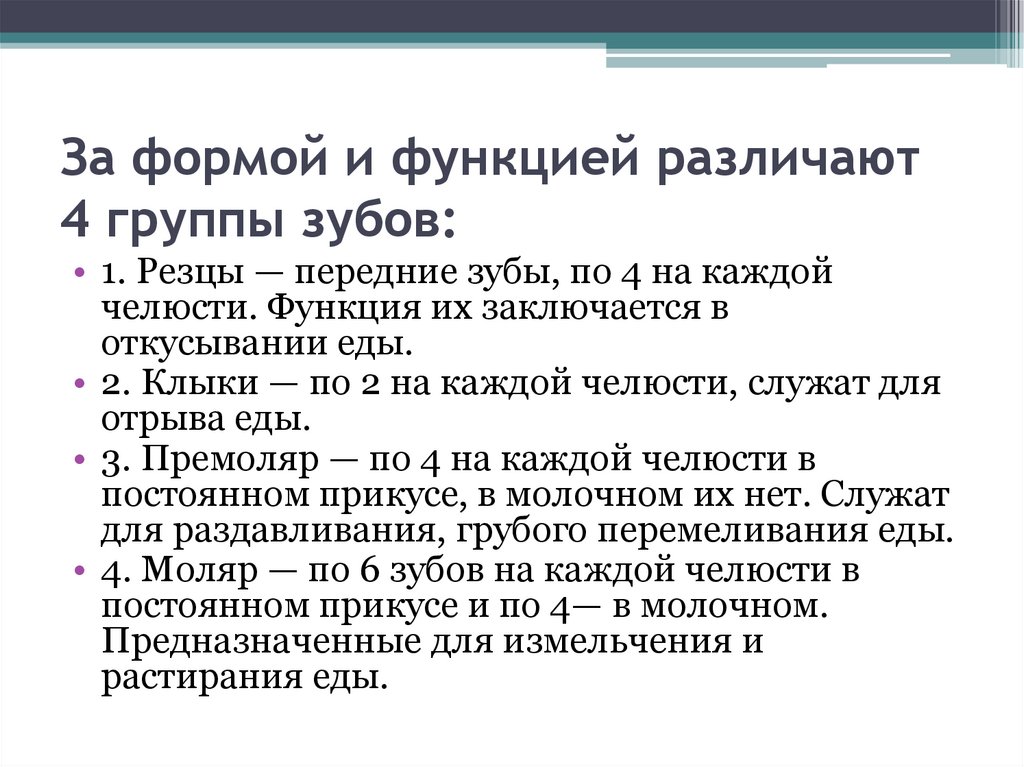 За формой и функцией различают 4 группы зубов: