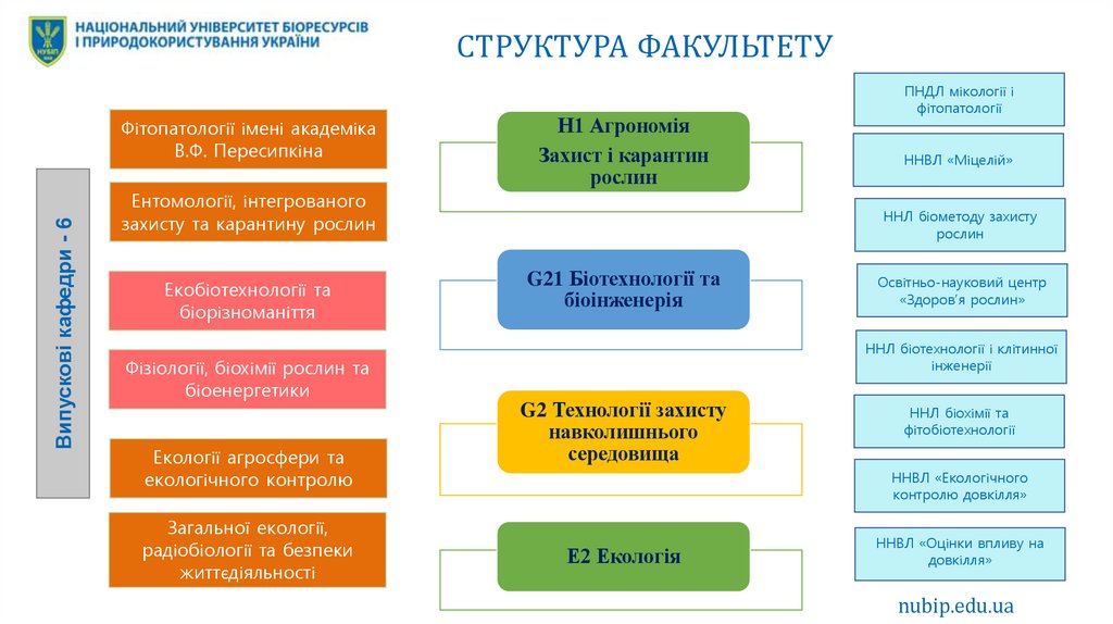 СТРУКТУРА ФАКУЛЬТЕТУ