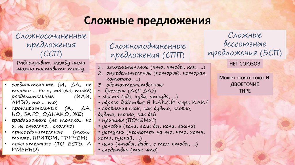 Сложные предложения