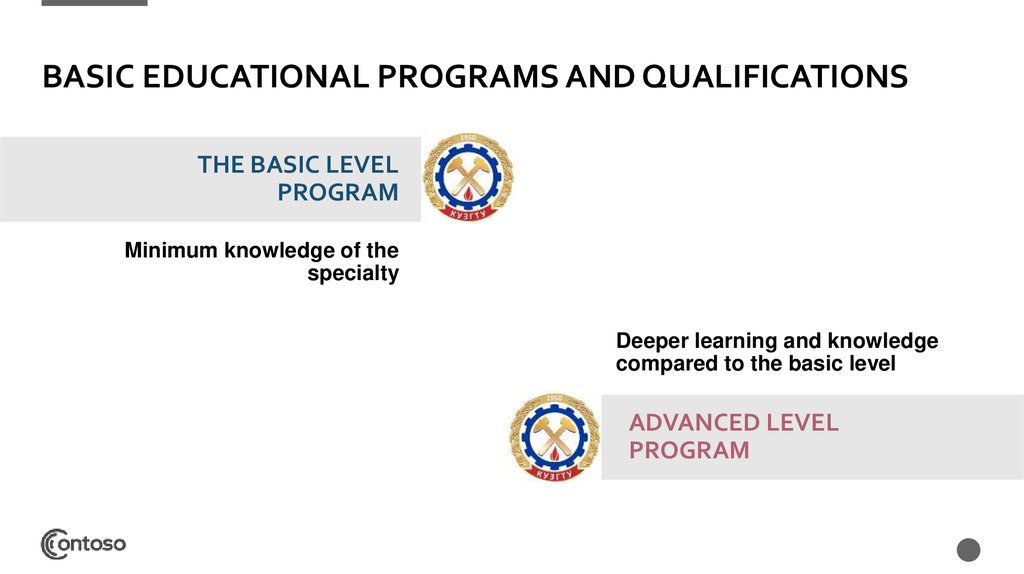 Basic educational programs and qualifications