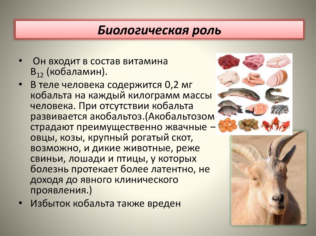 Биологическая роль