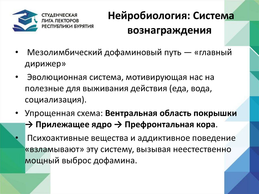  Нейробиология: Система вознаграждения