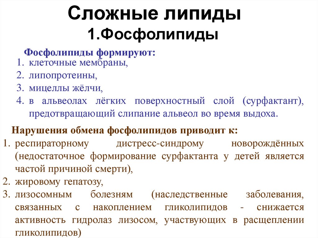 Сложные липиды