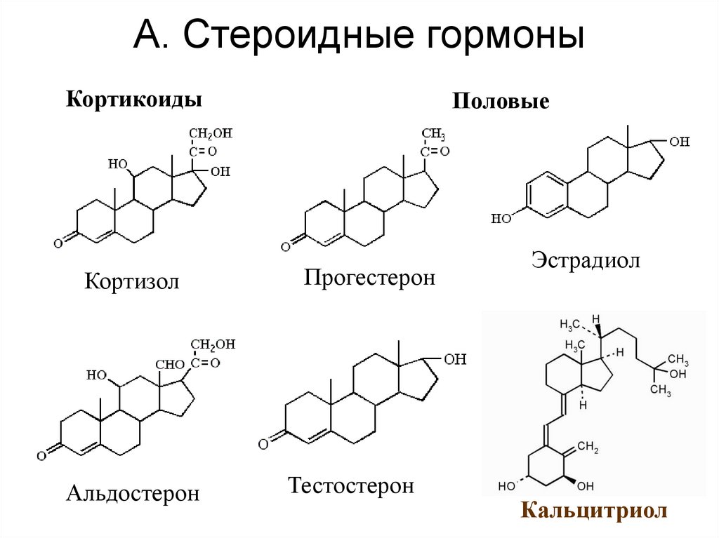 А. Стероидные гормоны