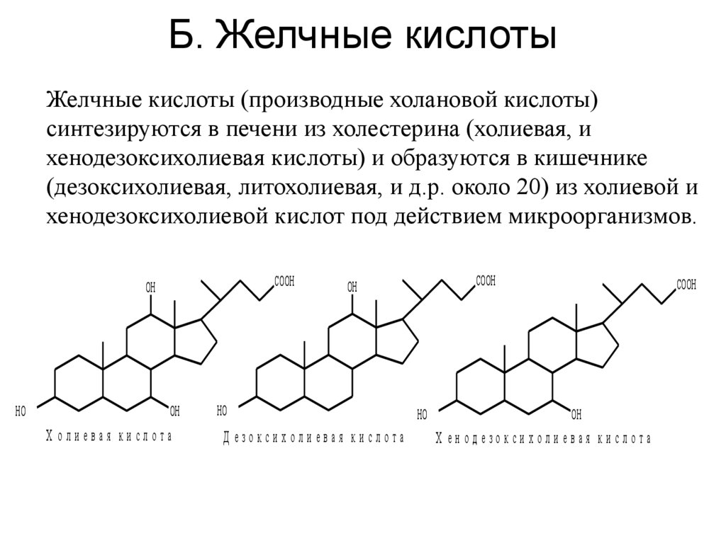 Б. Желчные кислоты