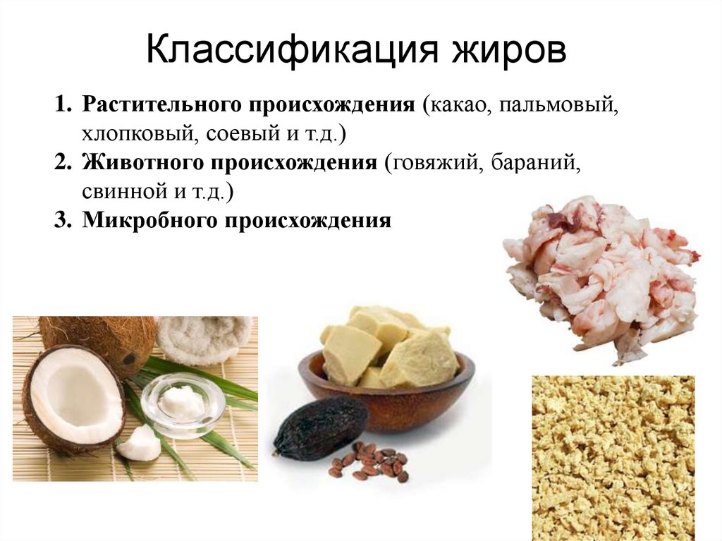 Классификация жиров