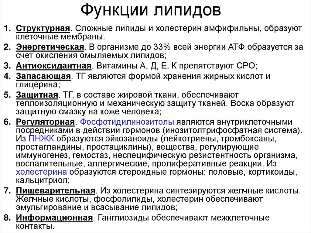 Функции липидов