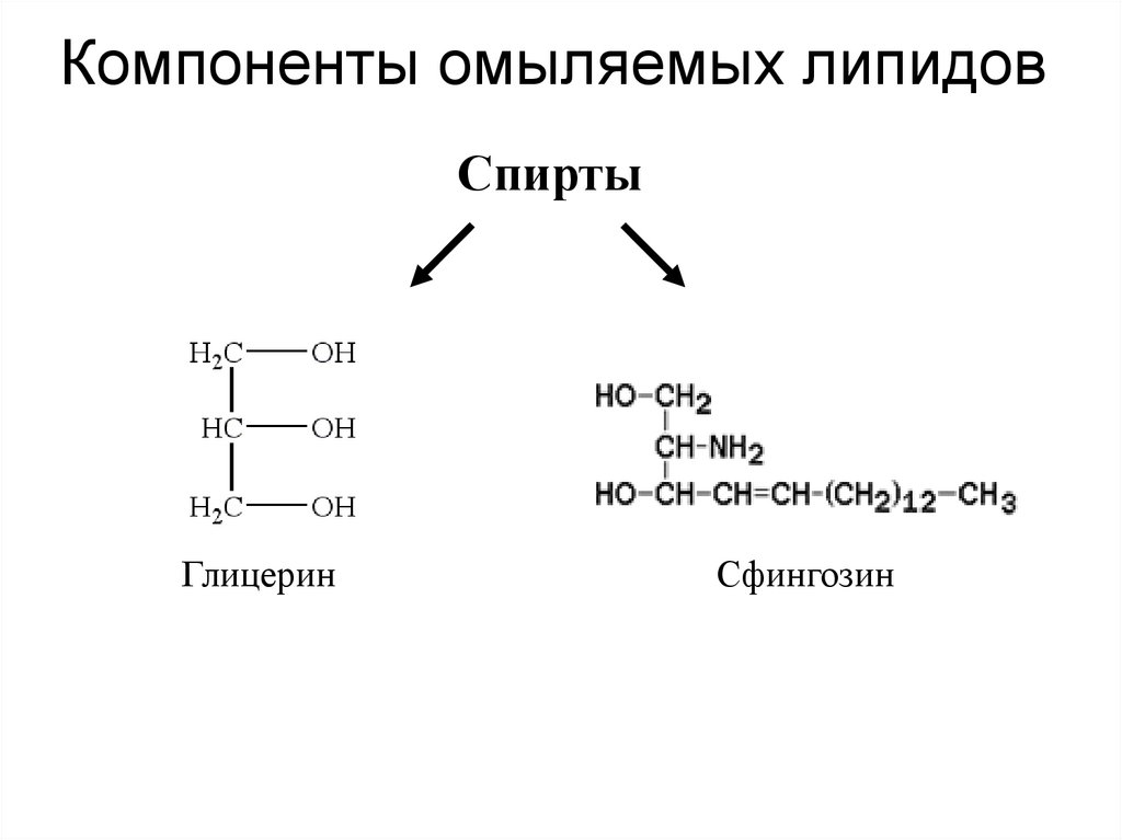 Компоненты омыляемых липидов