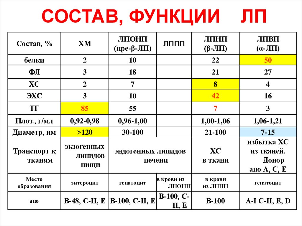 СОСТАВ, ФУНКЦИИ ЛП