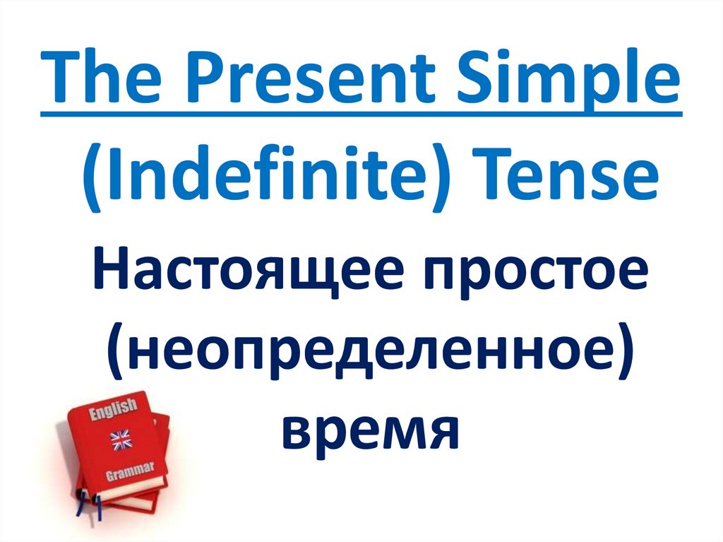 The Present Simple (Indefinite) Tense