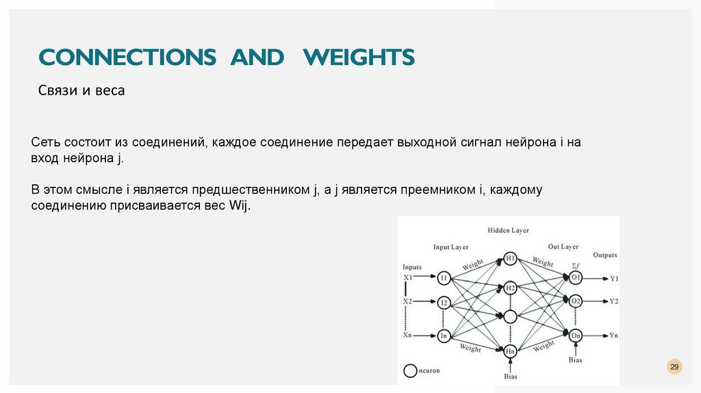 Connections and weights
