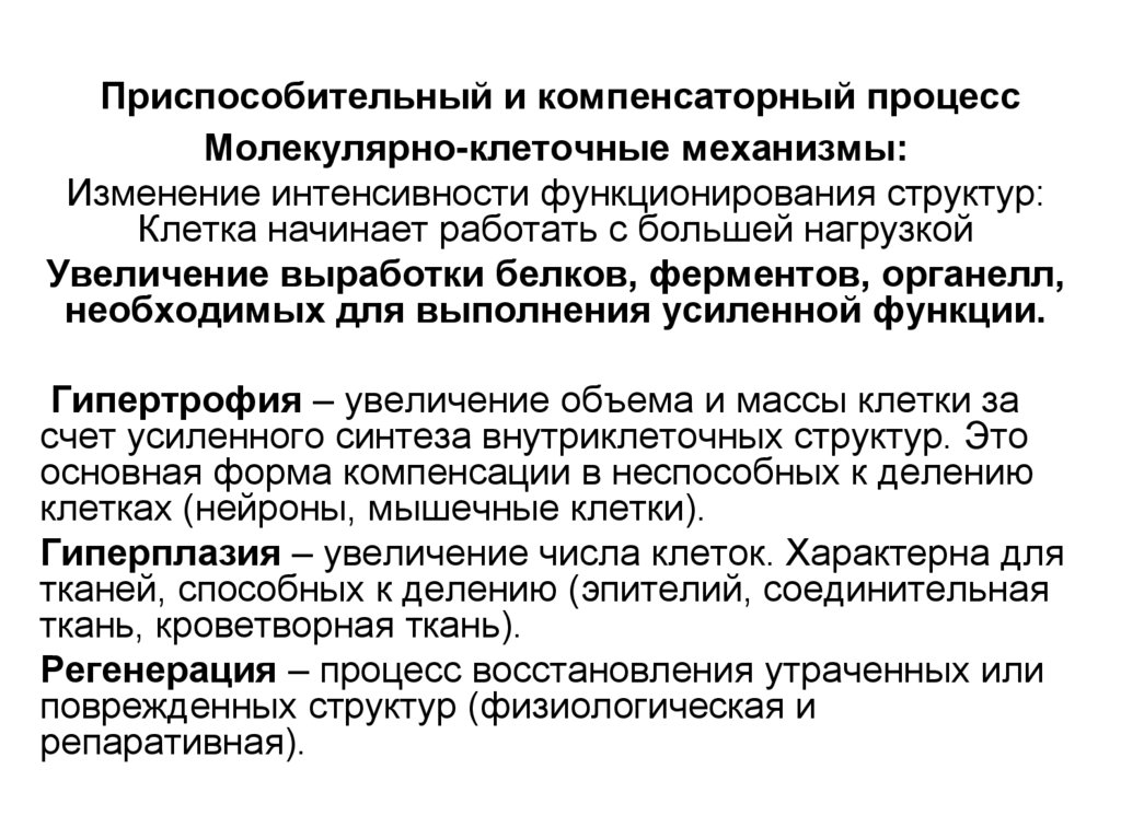 Приспособительный и компенсаторный процесс