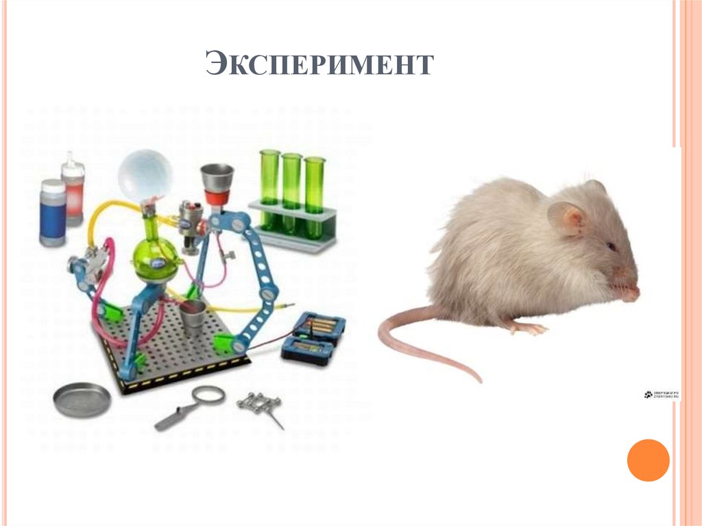 Эксперимент