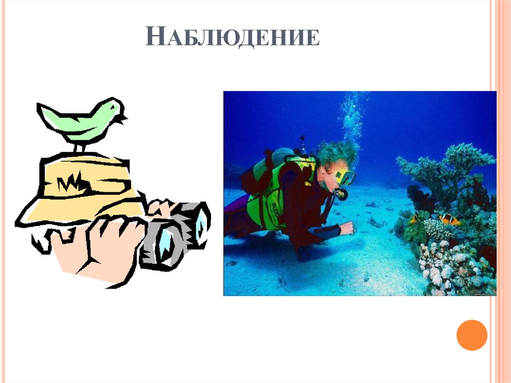 Наблюдение