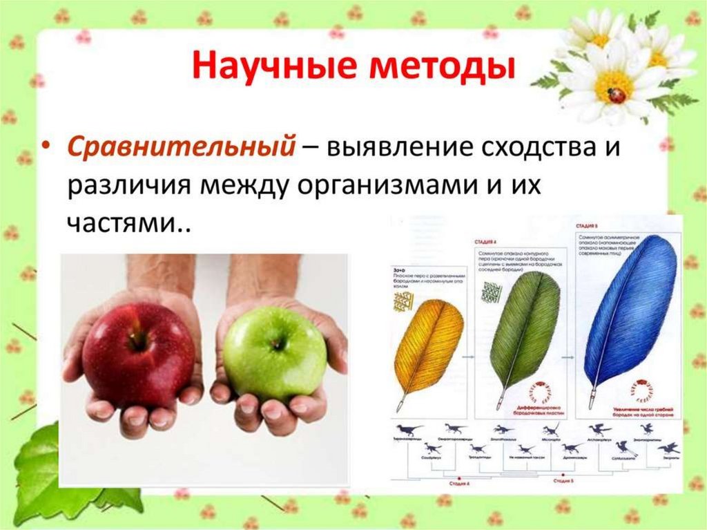 Сравнительный метод