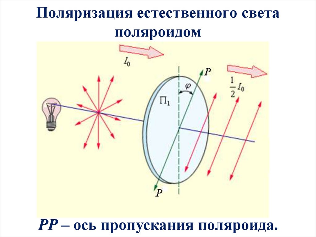 Поляризация естественного света поляроидом