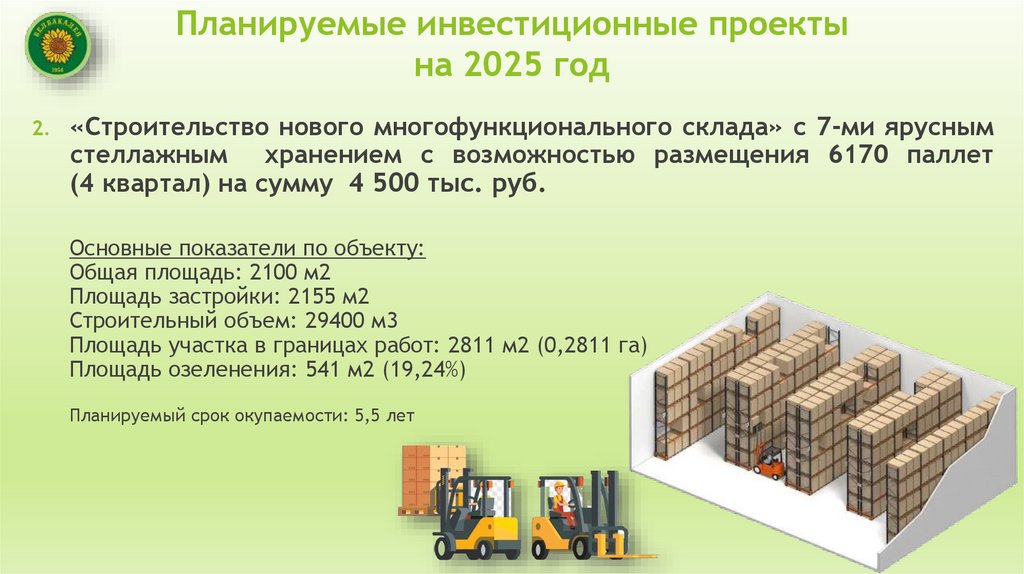 Планируемые инвестиционные проекты на 2025 год