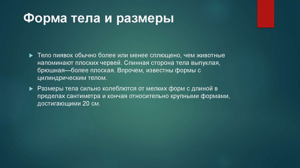 Форма тела и размеры