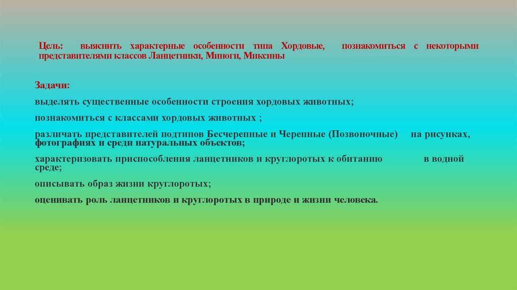 Цель: выяснить характерные особенности типа Хордовые, познакомиться с некоторыми представителями классов Ланцетники, Миноги,