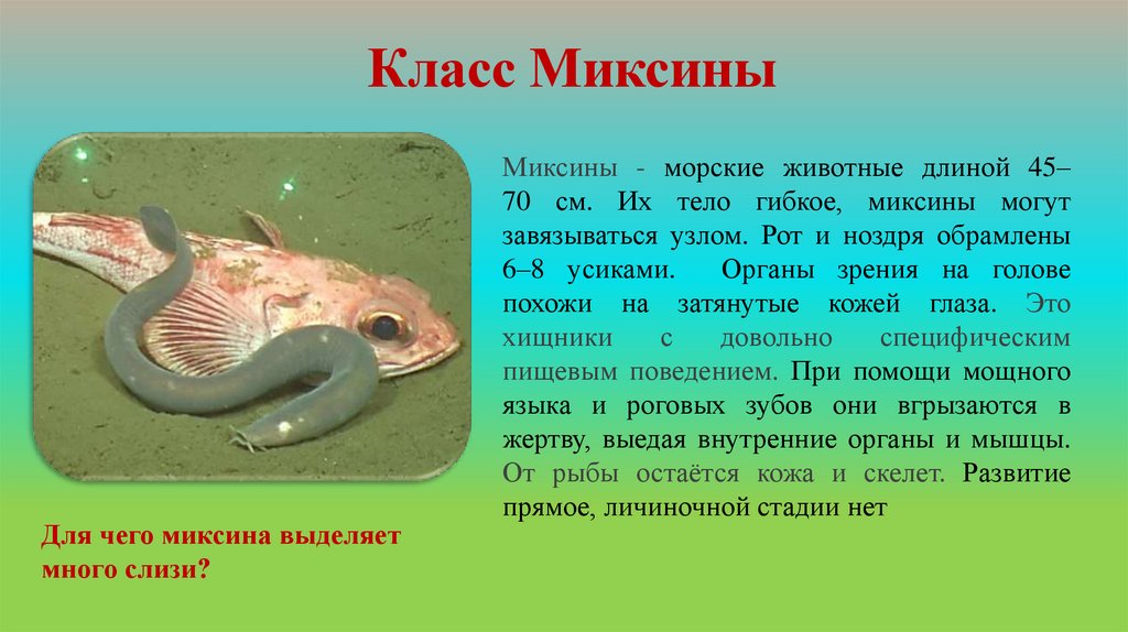 Класс Миксины