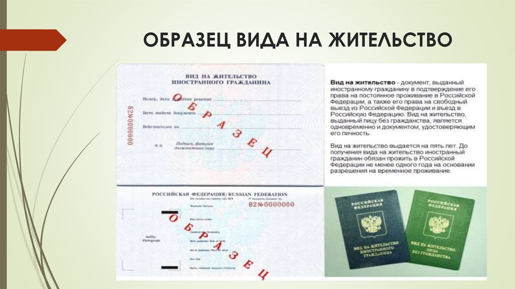ОБРАЗЕЦ ВИДА НА ЖИТЕЛЬСТВО