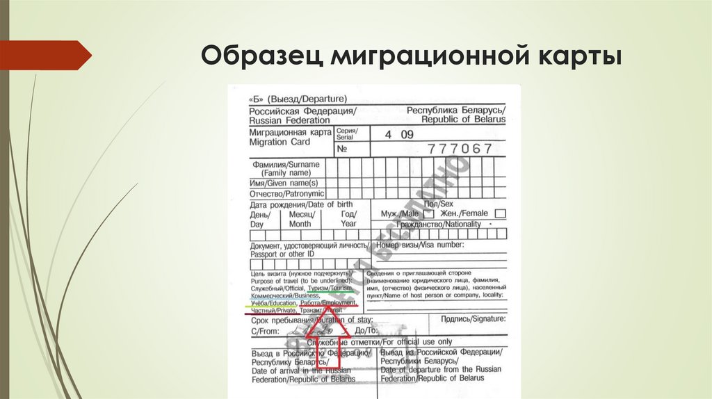 Образец миграционной карты