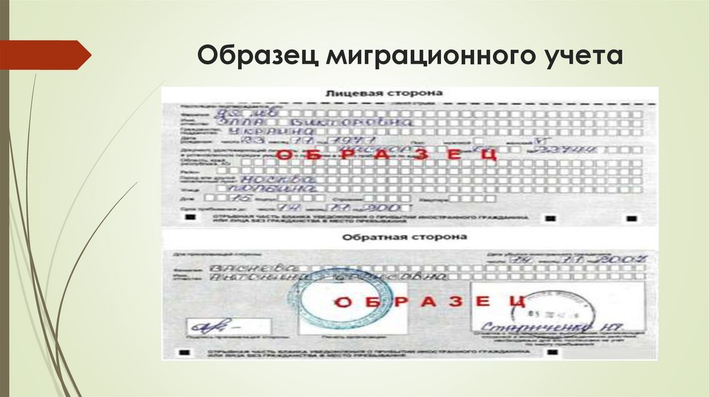 Образец миграционного учета