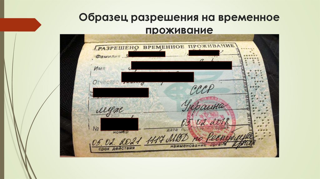 Образец разрешения на временное проживание