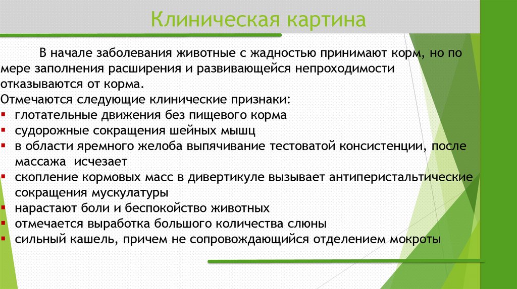 Клиническая картина
