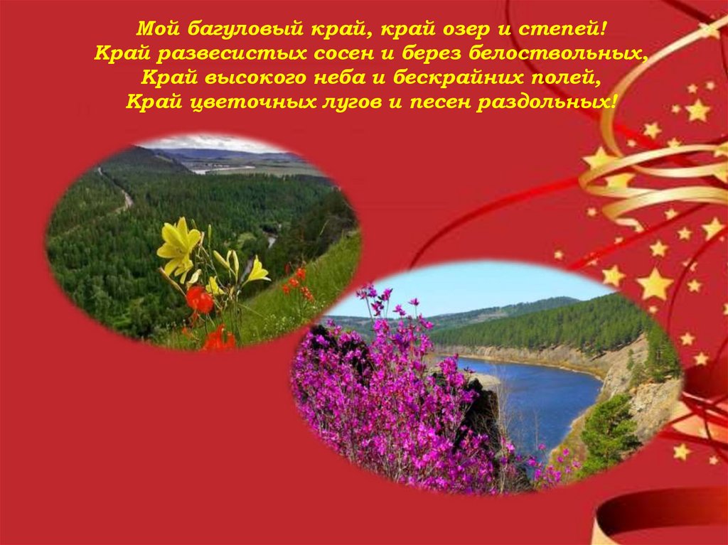 Мой багуловый край, край озер и степей! Край развесистых сосен и берез белоствольных, Край высокого неба и бескрайних полей,