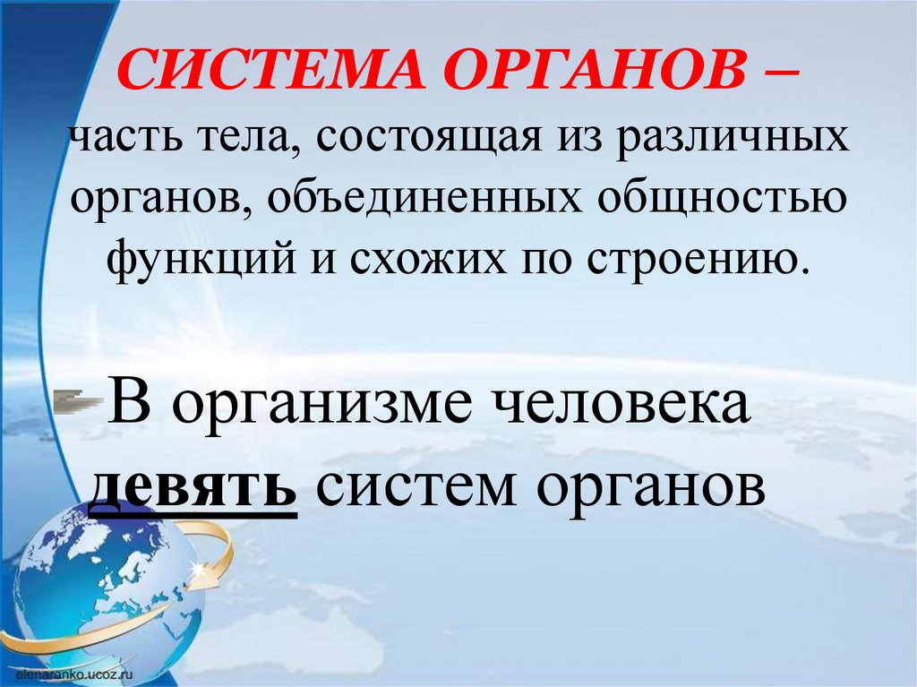 СИСТЕМА ОРГАНОВ – часть тела, состоящая из различных органов, объединенных общностью функций и схожих по строению.